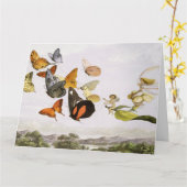 ヴィンテージ蝶&フェアリーオールドイラストレーションアート カード (黄色い花)