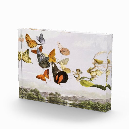 ヴィンテージ蝶&フェアリーオールドイラストレーションアート フォトブロック (右)