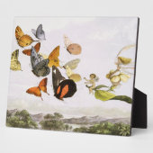 ヴィンテージ蝶&フェアリーオールドイラストレーションアート フォトプラーク (側面)