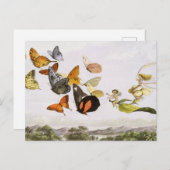 ヴィンテージ蝶&フェアリーオールドイラストレーションアート ポストカード (正面/裏面)