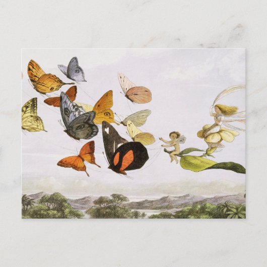 ヴィンテージ蝶&フェアリーオールドイラストレーションアート ポストカード (正面)