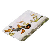 ヴィンテージ蝶&フェアリーオールドイラストレーションアート マグネット (左側)