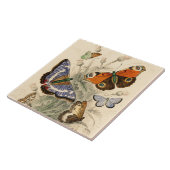 ヴィンテージ蝶by Oliver Goldsmith タイル (側面)