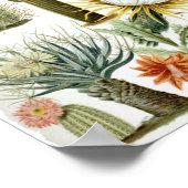 ヴィンテージ表 ポスター (角)