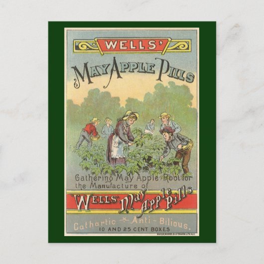 ヴィンテージ製品ラベルアート、ウェルズApple Pills ポストカード (正面)