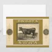 ヴィンテージ製品ラベル、ドワイトの重炭酸ソーダ (正面/裏面)