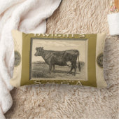 ヴィンテージ製品ラベル、ドワイト重炭酸ソーダ ランバークッション (ブランケット)