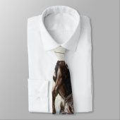 ヴィンテージ西カウボーイズ、NCワイースによるバッキング ネクタイ (タイ)