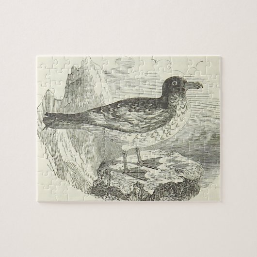 ヴィンテージ見て鳥が岩に立つパズル ジグソーパズル (横)
