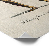 ヴィンテージ解剖図 ポスター (角)