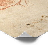 ヴィンテージ解剖図 ポスター (角)