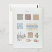 ヴィンテージ解剖学と人間の毛皮と爪、 ネイル ポストカード (正面/裏面)