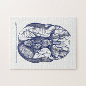 ヴィンテージ解剖学の人間の脳海軍の動脈 ジグソーパズル (横)