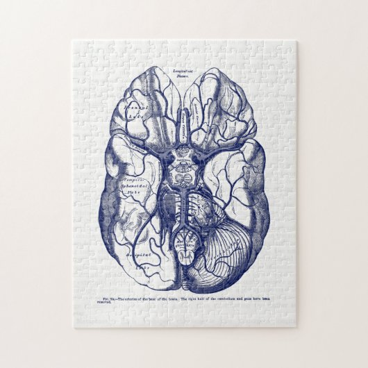 ヴィンテージ解剖学の人間の脳海軍の動脈 ジグソーパズル (縦)
