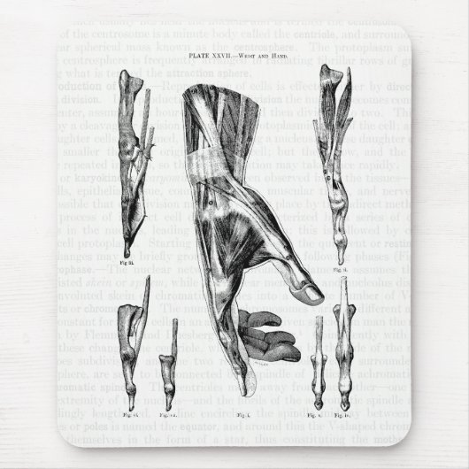 ヴィンテージ解剖学の手首と手の筋肉 マウスパッド (正面)