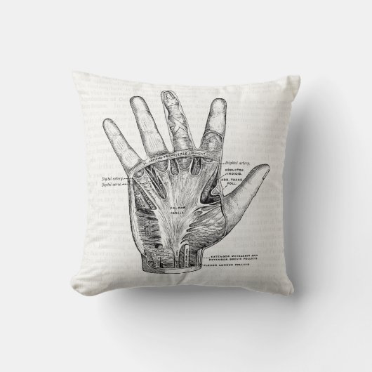 ヴィンテージ解剖学アート手のひら クッション (正面)