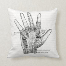 ヴィンテージ解剖学アート手のひら