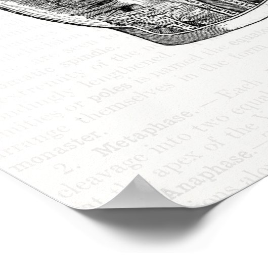 ヴィンテージ解剖学アート手のひら ポスター (角)