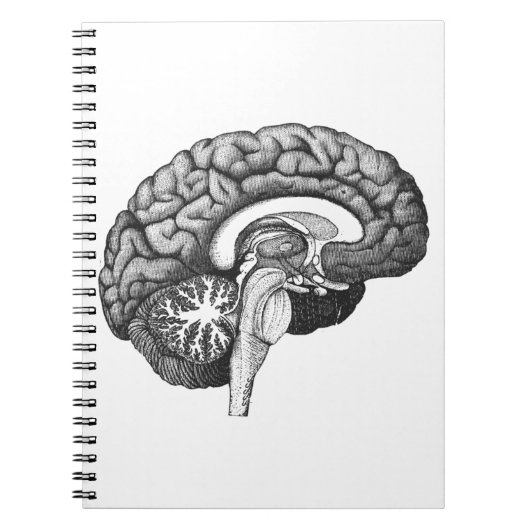 ヴィンテージ解剖学イラストレーションヒト脳 ノートブック (正面)