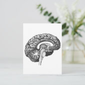 ヴィンテージ解剖学イラストレーションヒト脳 ポストカード (スタンド正面)