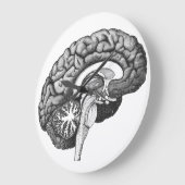 ヴィンテージ解剖学イラストレーションヒト脳 ラージ壁時計 (傾斜)