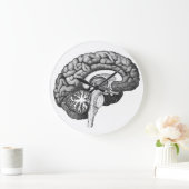 ヴィンテージ解剖学イラストレーションヒト脳 ラージ壁時計 (ホーム)