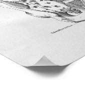 ヴィンテージ解剖学イラストレーション骨盤骨 ポスター (角)