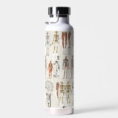 ヴィンテージ解剖学イラスト ウォーターボトル (右面)