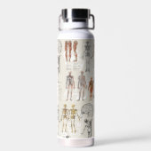 ヴィンテージ解剖学イラスト ウォーターボトル (背面)