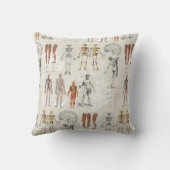 ヴィンテージ解剖学イラスト クッション (裏面)