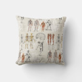 ヴィンテージ解剖学イラスト クッション (正面)