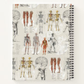 ヴィンテージ解剖学イラスト ノートブック (裏面)
