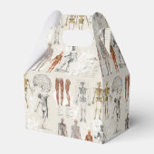 ヴィンテージ解剖学イラスト フェイバーボックス (裏面サイド)