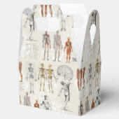 ヴィンテージ解剖学イラスト フェイバーボックス (オープン)