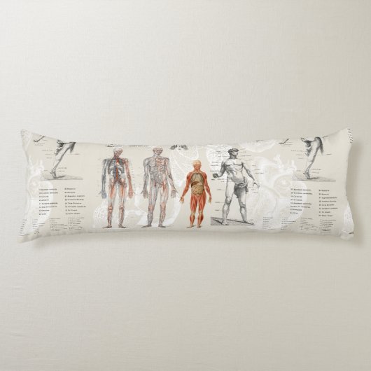 ヴィンテージ解剖学イラスト ボディピロー (正面)