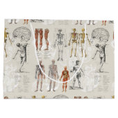 ヴィンテージ解剖学イラスト ラージペーパーバッグ (裏面)