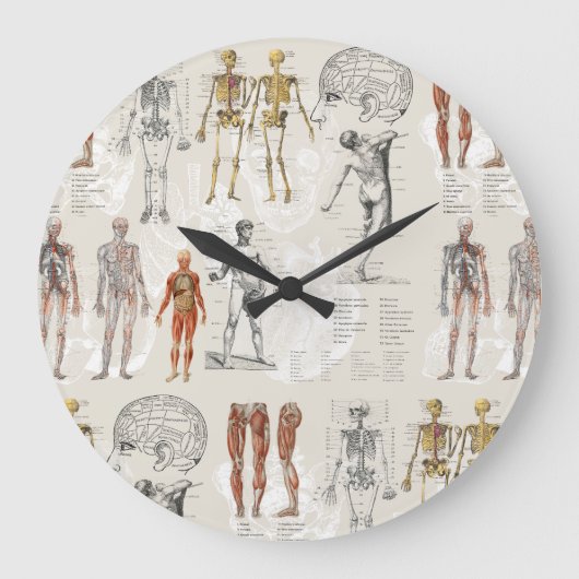 ヴィンテージ解剖学イラスト ラージ壁時計 (正面)