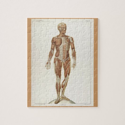 ヴィンテージ解剖学ブックページ ジグソーパズル (縦)