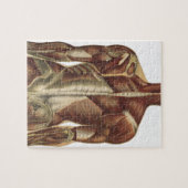 ヴィンテージ解剖学ブックページ ジグソーパズル (横)