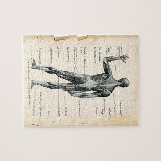 ヴィンテージ解剖学ブックページ ジグソーパズル (横)