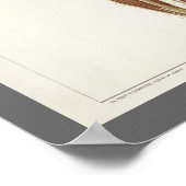 ヴィンテージ解剖学ブックページ ポスター (角)