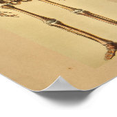 ヴィンテージ解剖学プリントヒト骨格 ポスター (角)