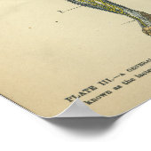 ヴィンテージ解剖学プリント神経動脈 ポスター (角)