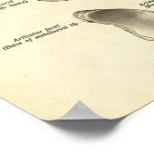 ヴィンテージ解剖学プリント足骨 ポスター (角)