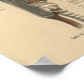 ヴィンテージ解剖学プリント頸筋 ポスター (角)