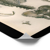 ヴィンテージ解剖学プリント骨格骨 ポスター (角)