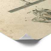 ヴィンテージ解剖学プリント骨格 ポスター (角)