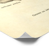 ヴィンテージ解剖学プリント骨脛骨 ポスター (角)