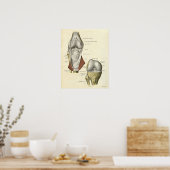 ヴィンテージ解剖学プリント骨膝 ポスター (キッチン)