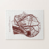 ヴィンテージ解剖学人間の頭の芸術神経 ジグソーパズル (横)